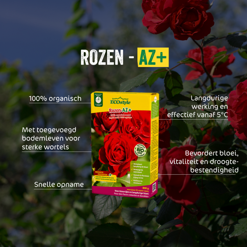 Rozen-AZ 1,6 kg