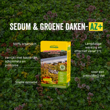 Sedum & Groene daken-AZ, 800 gram