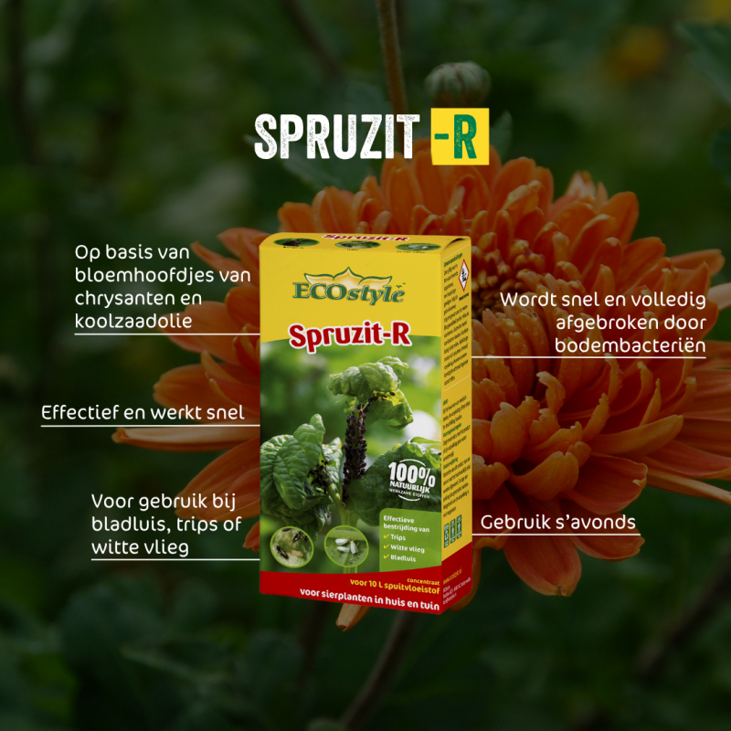 Spruzit-R concentraat 100 ml
