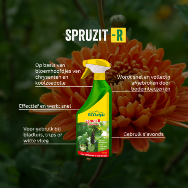 Spruzit-R gebruiksklaar 750 ml