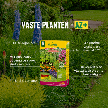 Vaste planten-AZ 800 gram