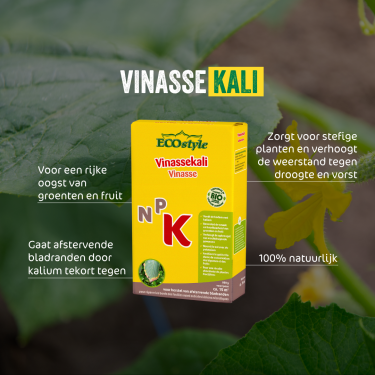 Vinassekali 800 g