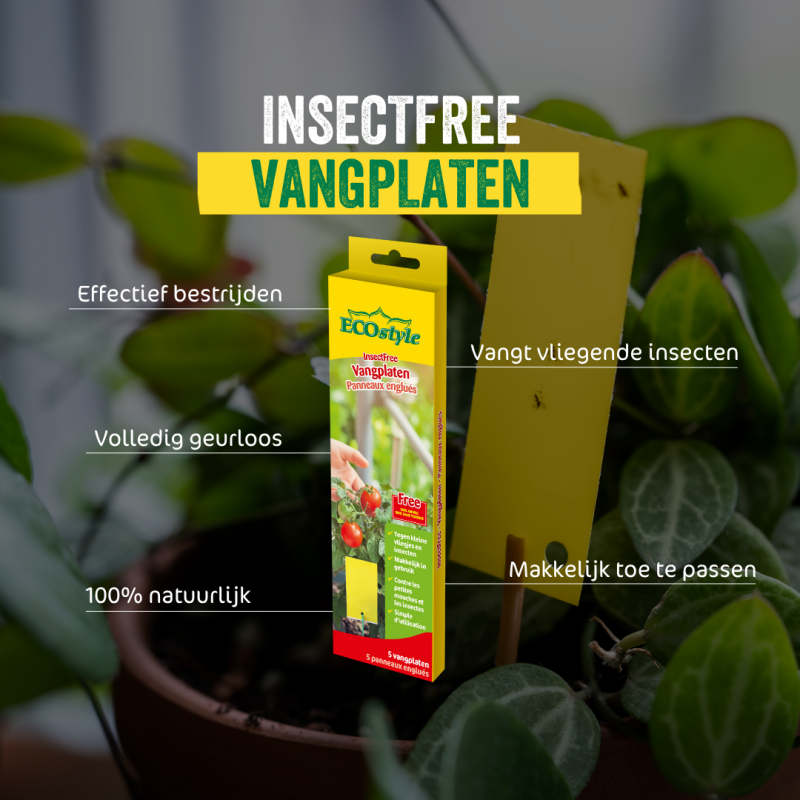 InsectFree Vangplaten