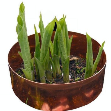 Koperring, set 3 stuks 30 cm.