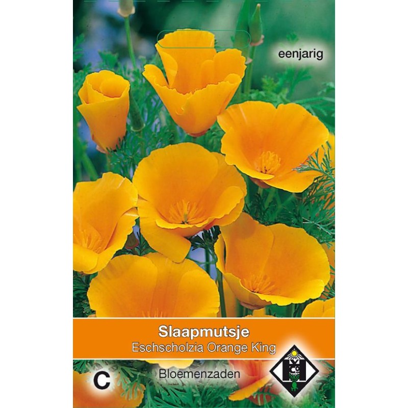 Eschscholzia cal. 'Orange King'