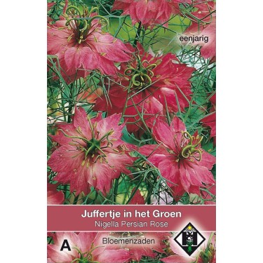 Nigella damascena 'Persian Rose'