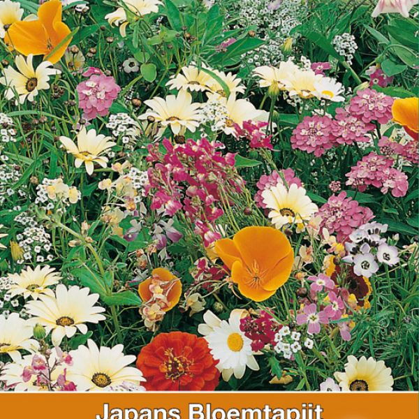 Japans bloemtapijt Osaka mengsel