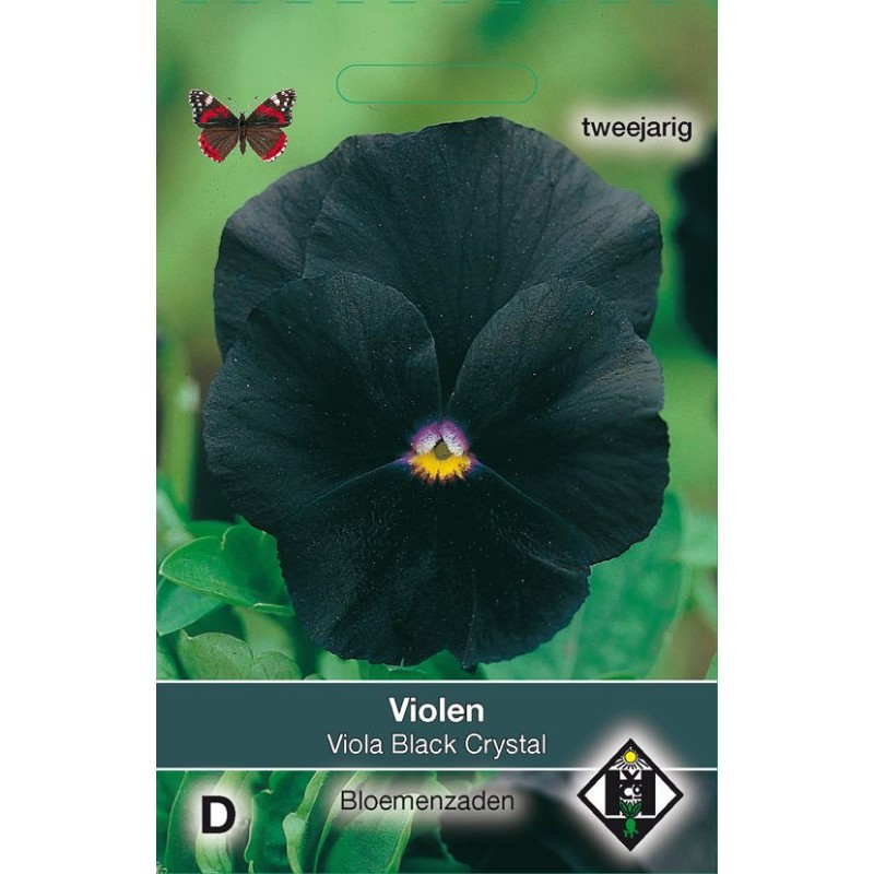 Viola x wittrockiana 'Black Cristal'