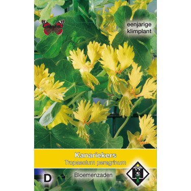 Tropaeolum peregrinum