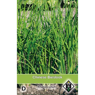 Chinese Bieslook / Allium tuberosum