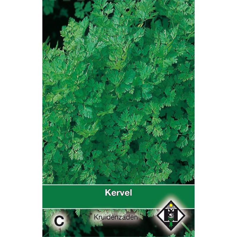 Kervel / Anthriscus cerefolium