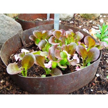 Koperring, enkel 20 cm