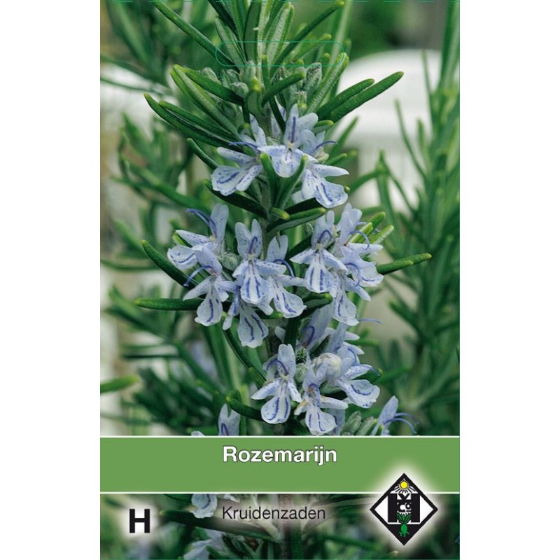 Rozemarijn / Rosmarinus officinalis
