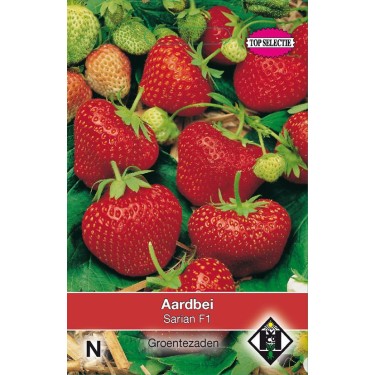 Aardbei, Fragaria x ananassa 'Sarian F1'