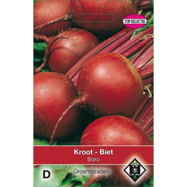Biet - Kroot, Beta vulgaris 'Bora'