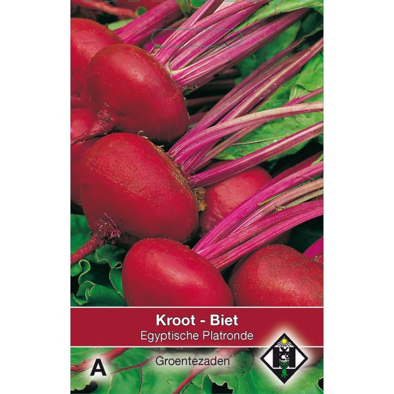 Biet - Kroot, Beta vulgaris 'Egyptische Platronde'