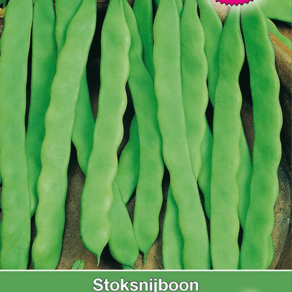 Stoksnijboon, Phaseolus vulgaris 'Limka', 60 gr.