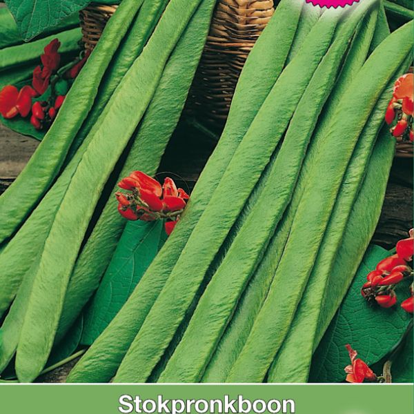 Stokpronkboon, Phaseolus coccineus 'Armstrong', 50 gr.