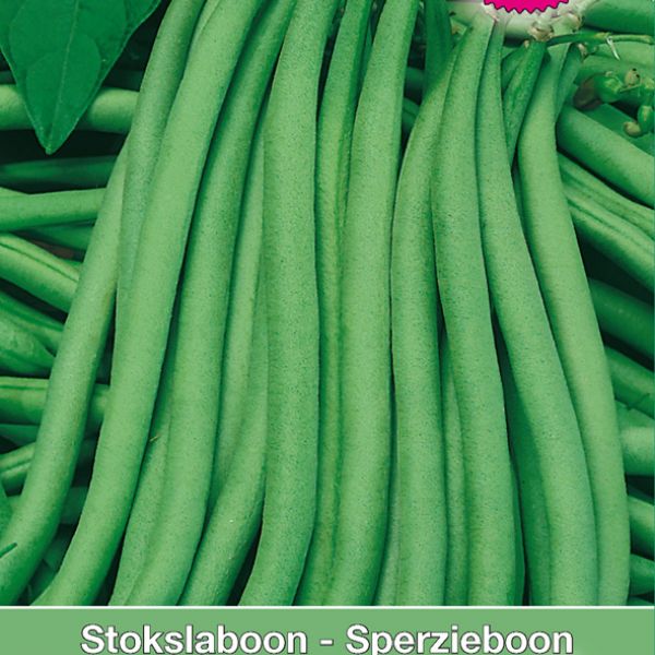 Stokslaboon - Sperzieboon, Phaseolus vulgaris 'Cobra', 30 gr.