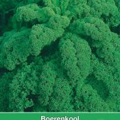 Boerenkool, Brassica oleracea sabellica 'Reflex F1'