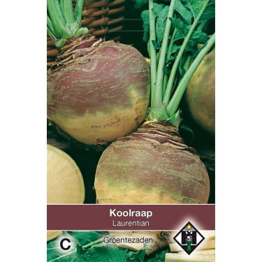 Koolraap, Brassica napus napobrassica 'Laurentian'