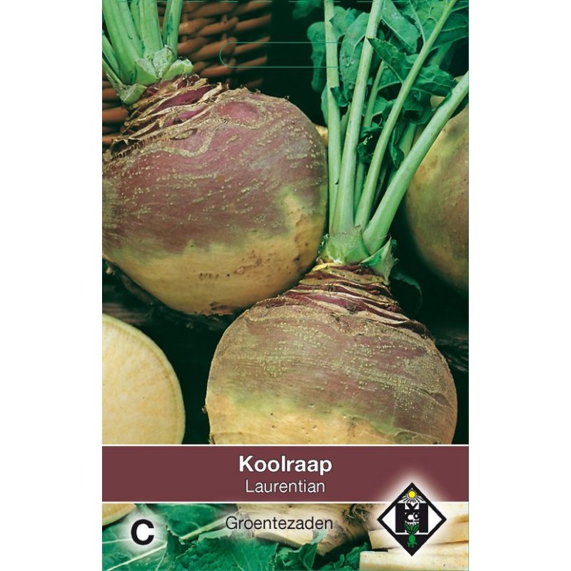 Koolraap, Brassica napus napobrassica 'Laurentian'
