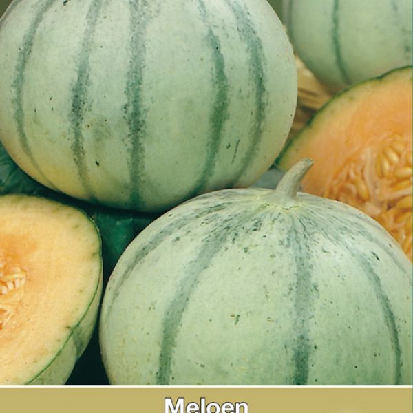 Meloen, Cucumis melo 'Rubens F1'