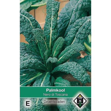 Palmkool, Brassica oleracea sabellica 'Nero di Toscana'