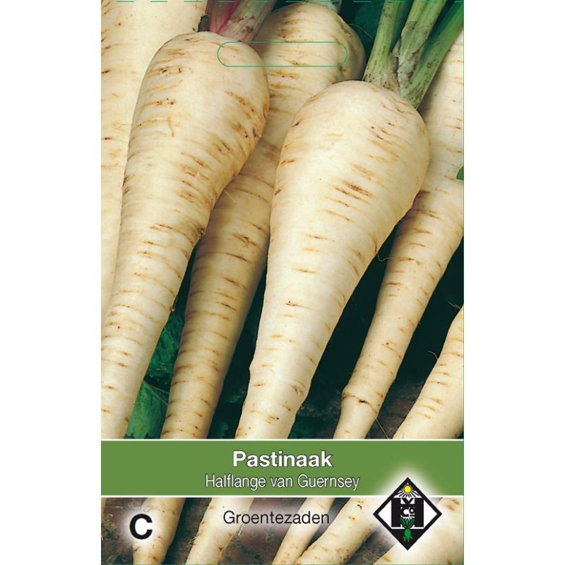 Pastinaak, Pastinaca sativa 'Halflange van Guernsey'