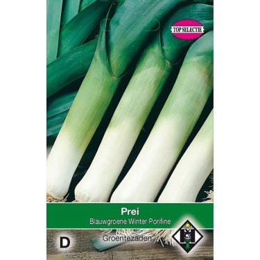 Prei, Allium porrum 'Blauwgroene Winter Porifine'
