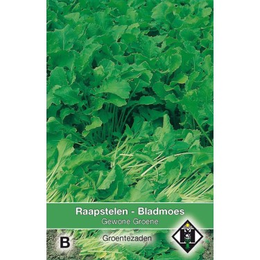 Raapstelen - Bladmoes, Brassica campestris 'Gewone Groene'