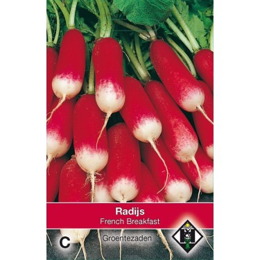 Radijs, Raphanus sativus 'French Breakfast'