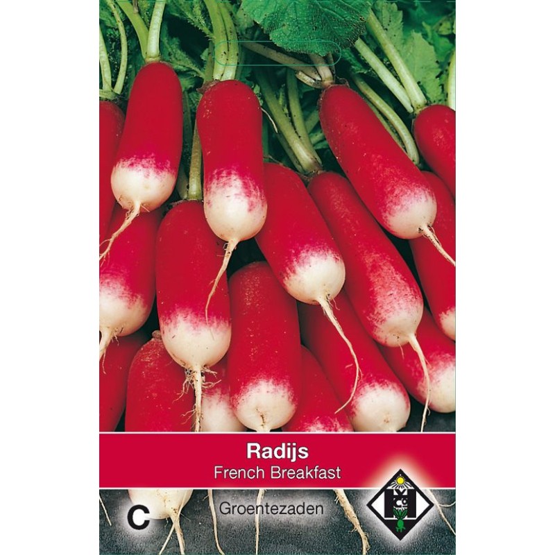 Radijs, Raphanus sativus 'French Breakfast'