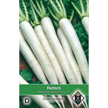 Rettich / Daikon, Raphanus sativus 'Minowase S.C. F1'