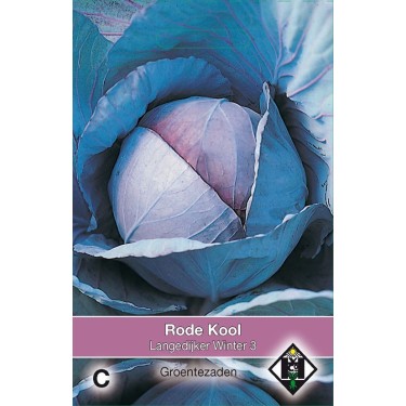 Rode kool, Brassica oleracea rubra 'Langedijker Winter 3'