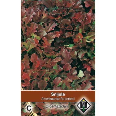 Snijsla, Lactuca sativa 'Amerikaanse Roodrand'