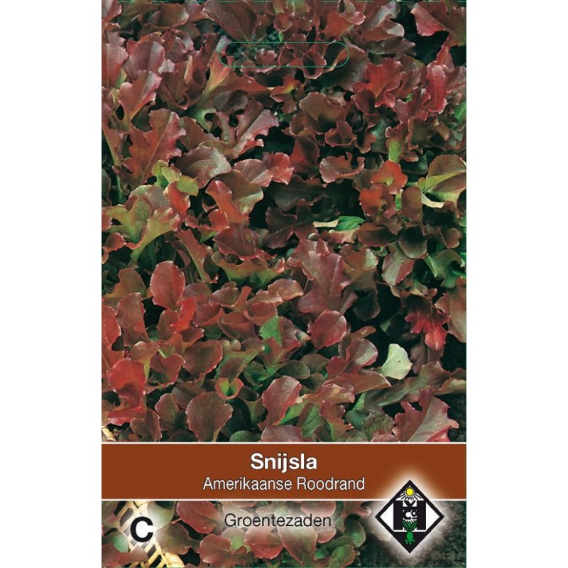 Snijsla, Lactuca sativa 'Amerikaanse Roodrand'