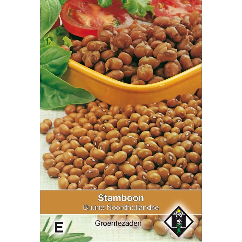 Stamboon - Bruine boon, Phaseolus vulgaris 'Bruine N.Hollandse' 30 gr.