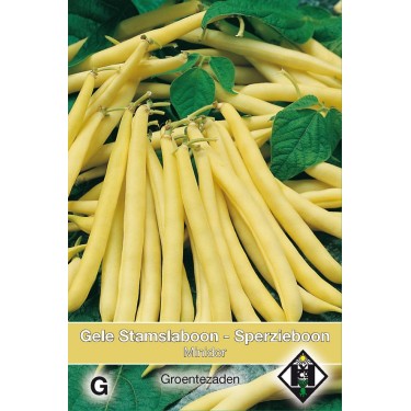 Stamslaboon - Sperzieboon, Phaseolus vulgaris 'Minidor', 30 gr.