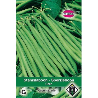 Stamslaboon - Sperzieboon, Phaseolus vulgaris Célio, 30 gr.