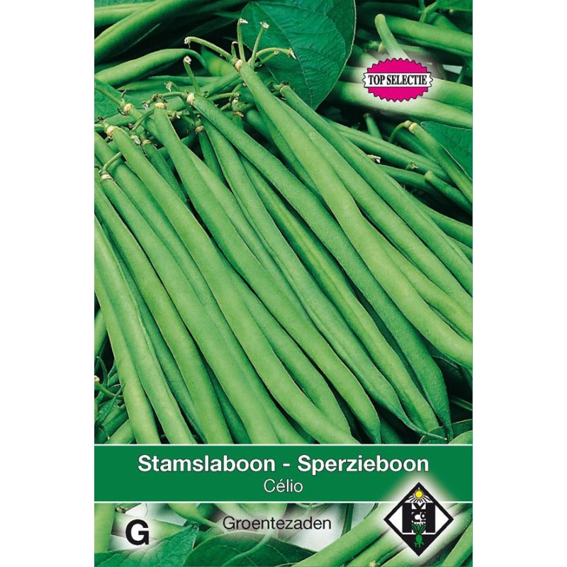Stamslaboon - Sperzieboon, Phaseolus vulgaris Célio, 30 gr.