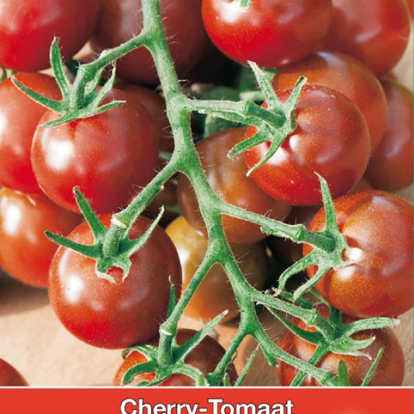 Cherry-Tomaat Black Cherry
