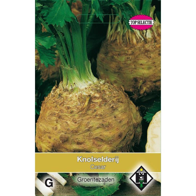 Knolselderij Cesar