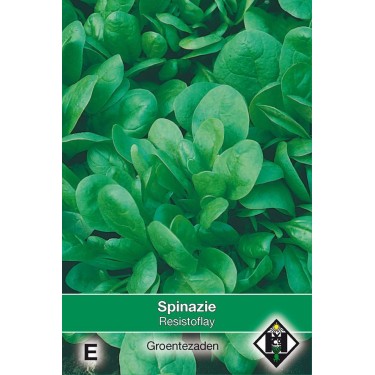 Spinazie Resistoflay, 35 gr.