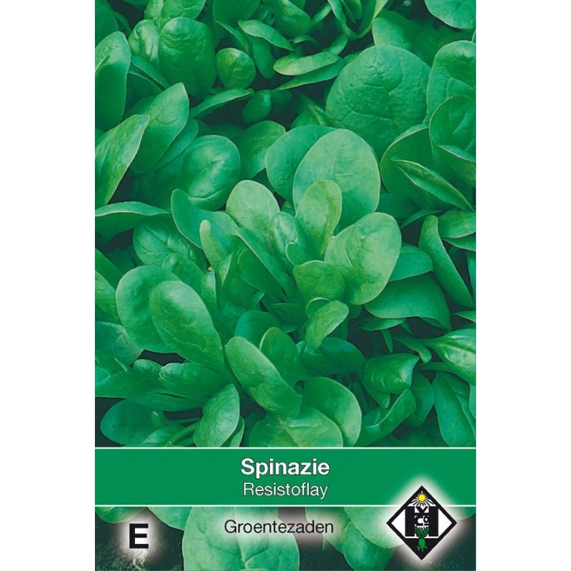 Spinazie Resistoflay, 35 gr.