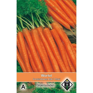 Wortel Amsterdamse Bak 2 Maxi