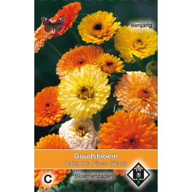 Calendula officinalis 'Fiesta Gitana'