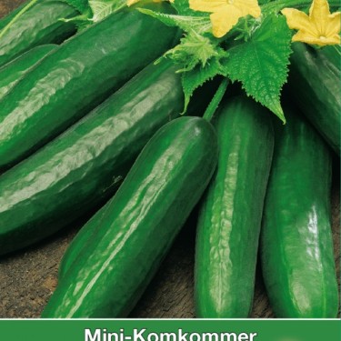 Mini Komkommer 'Diva'