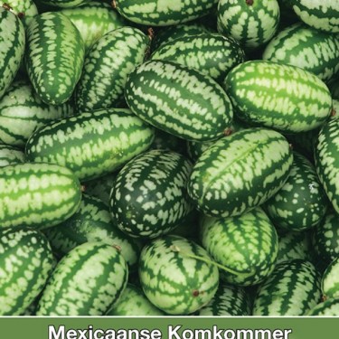 Mexicaanse Komkommer, Zehneria scabra