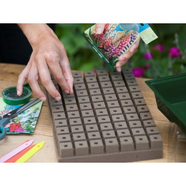 Kweekbakset inclusief groeimedium